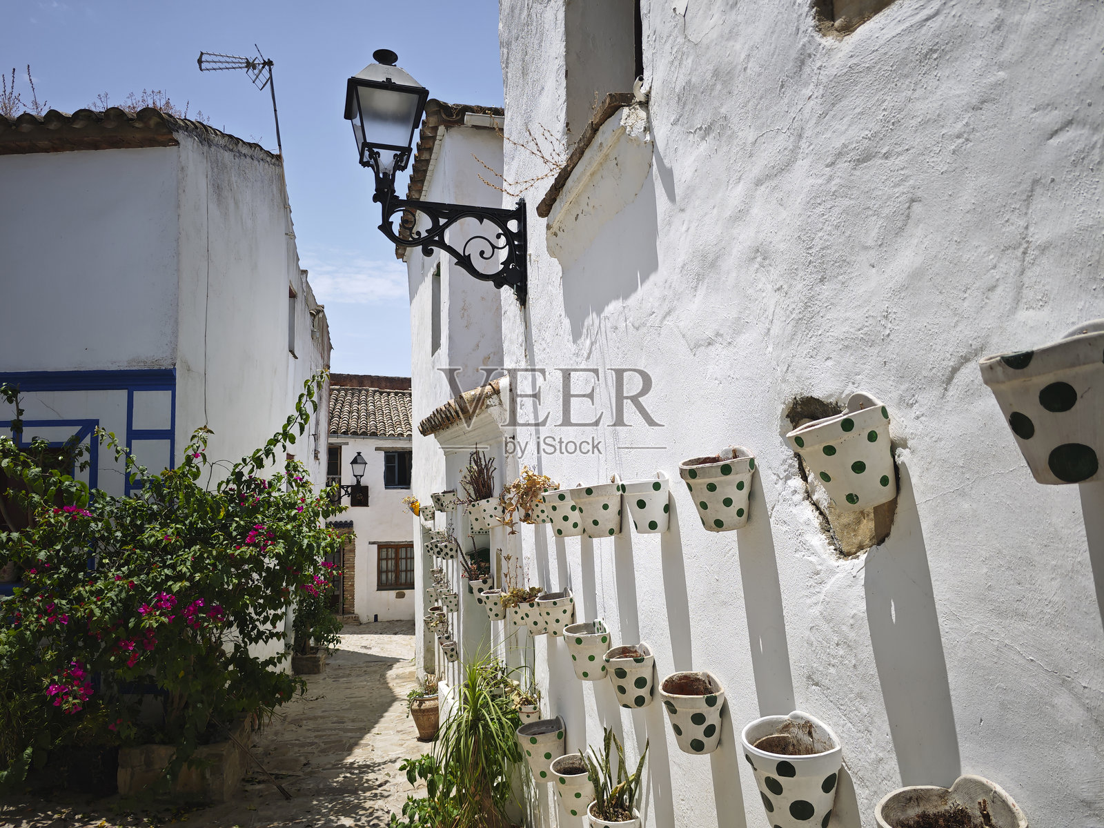 白色街道与花盆照片摄影图片