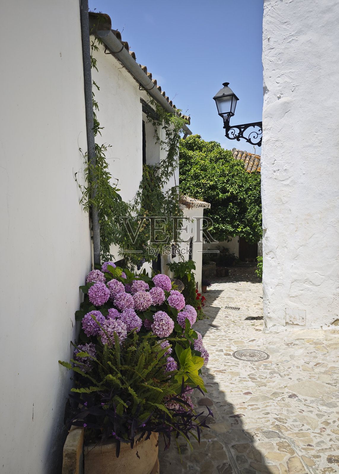 白色街道与花盆照片摄影图片