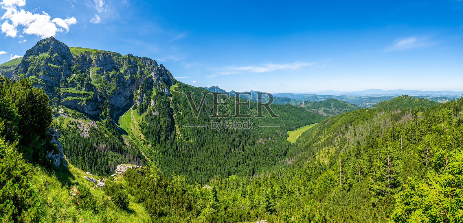 波兰扎科帕内郁郁葱葱的山坡和深邃的山谷，岩石悬崖的宽广全景照片摄影图片