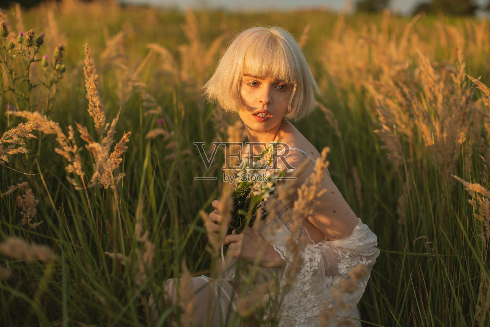 草地上的日落照片摄影图片