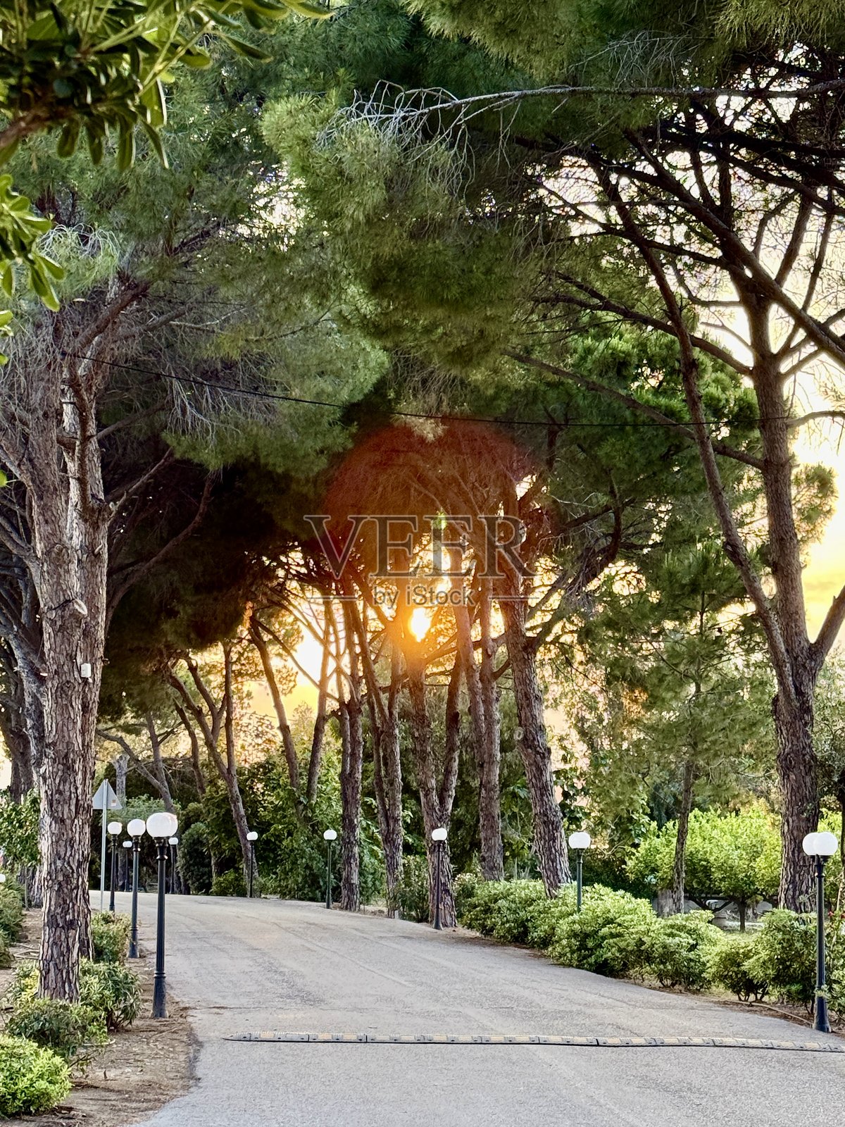 日落照片摄影图片