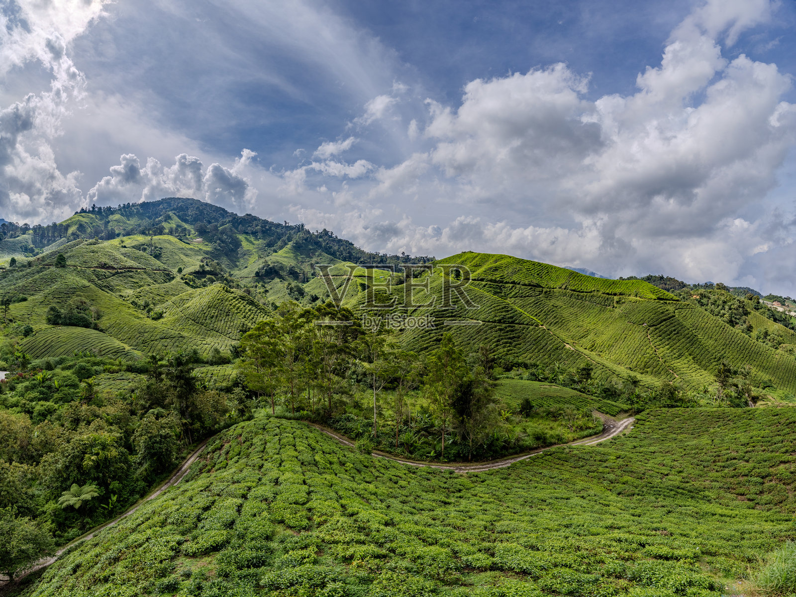 马来西亚的金马伦高原照片摄影图片