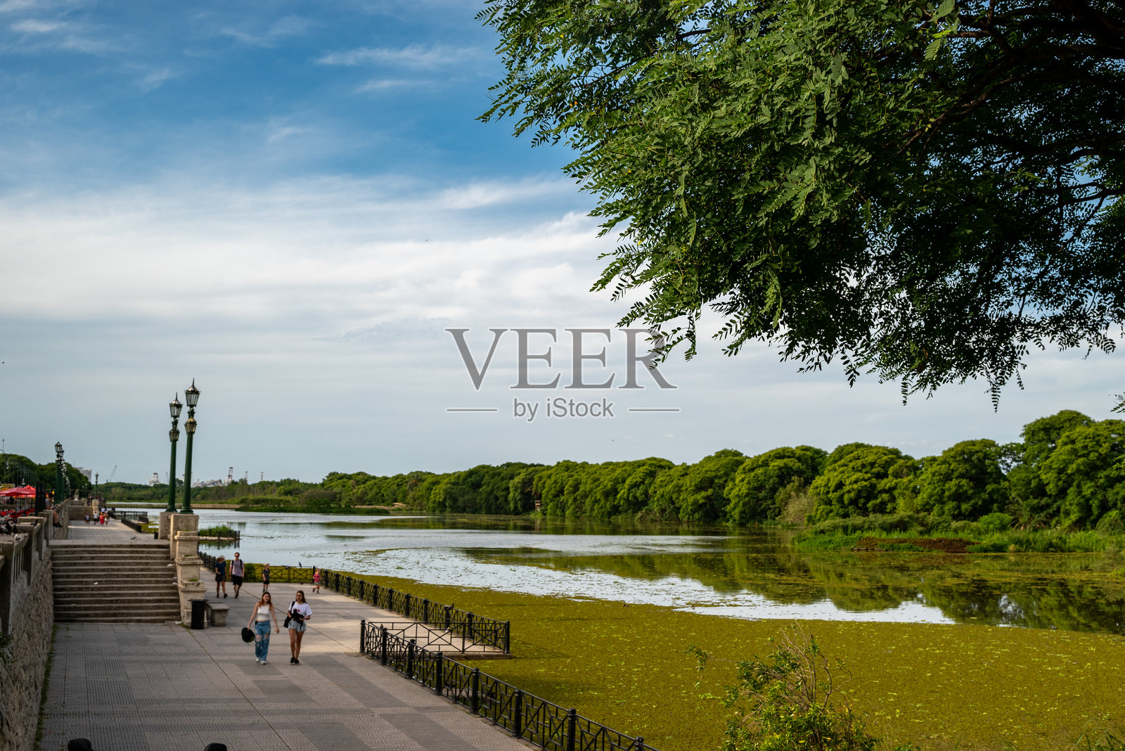 布宜诺斯艾利斯的科斯塔内拉苏尔生态保护区照片摄影图片