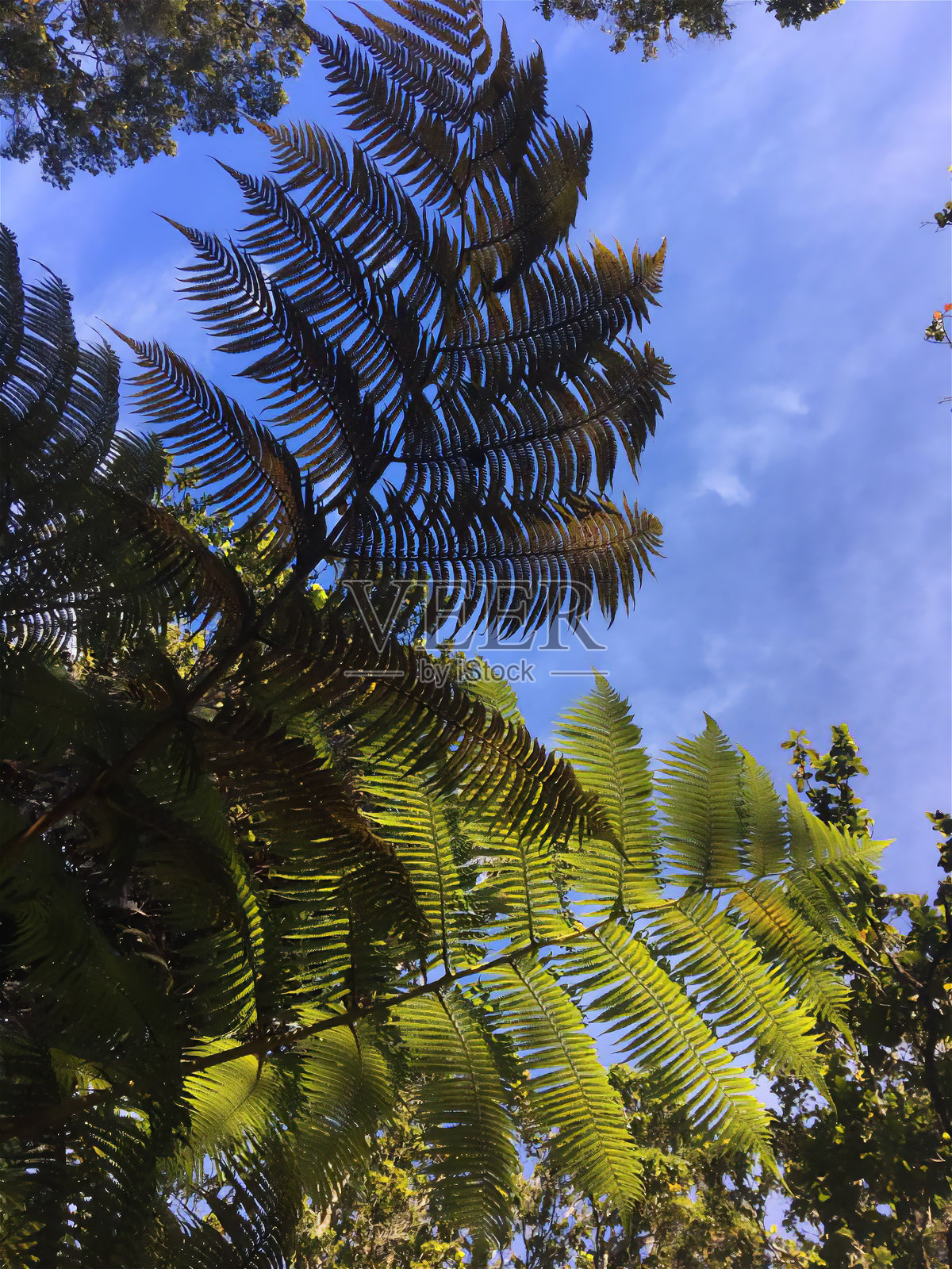 旅游 自然照片摄影图片