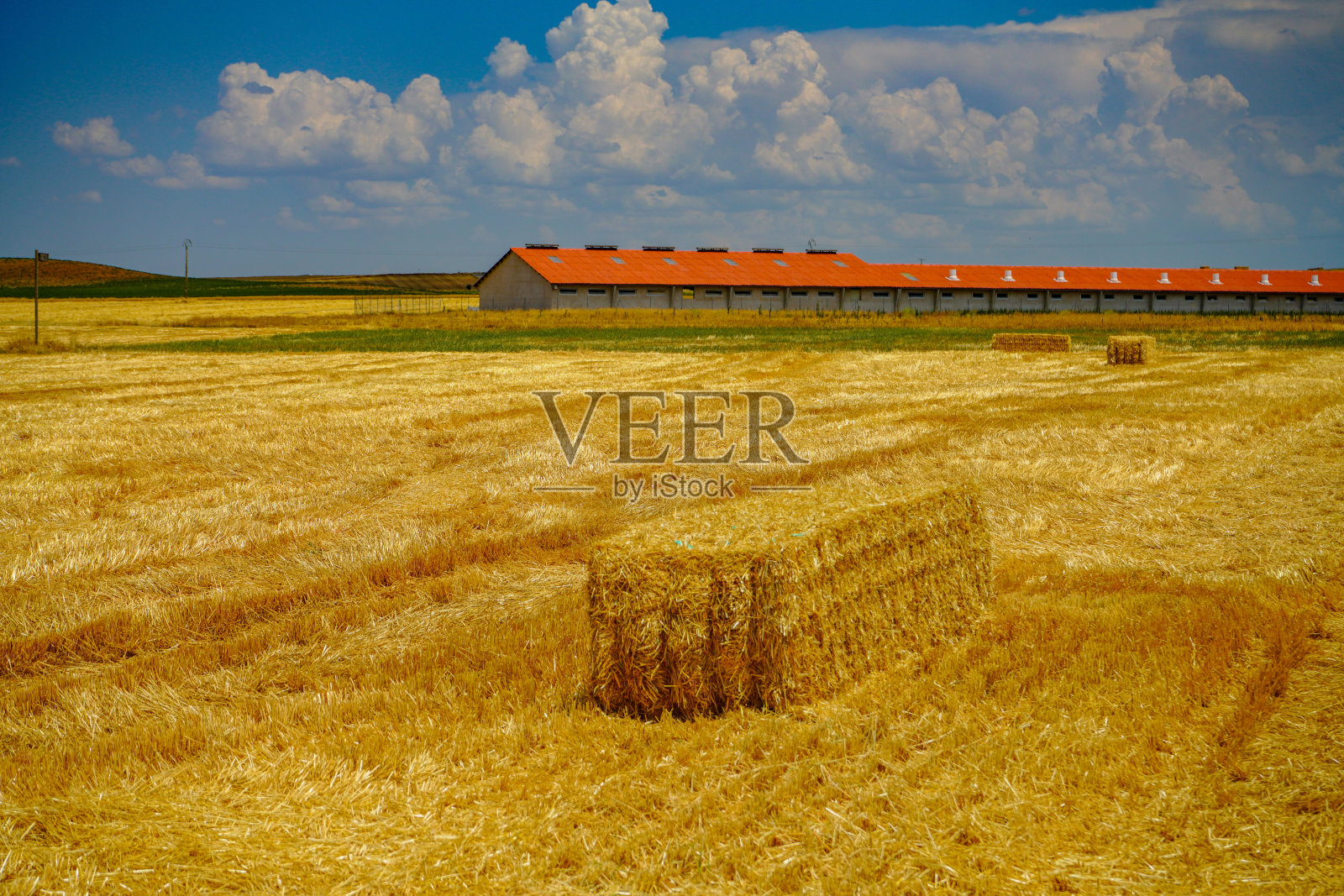 准备收割的田野和干草堆照片摄影图片