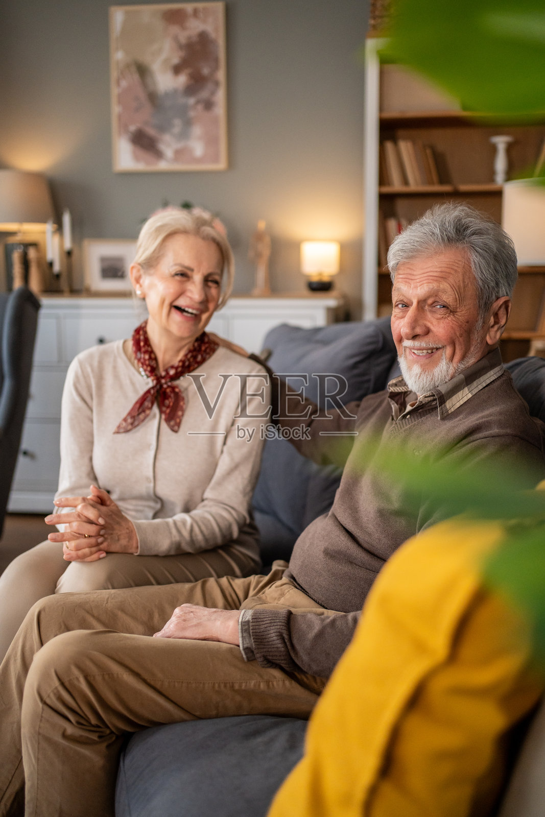 快乐的老年夫妇在舒适的沙发上放松照片摄影图片