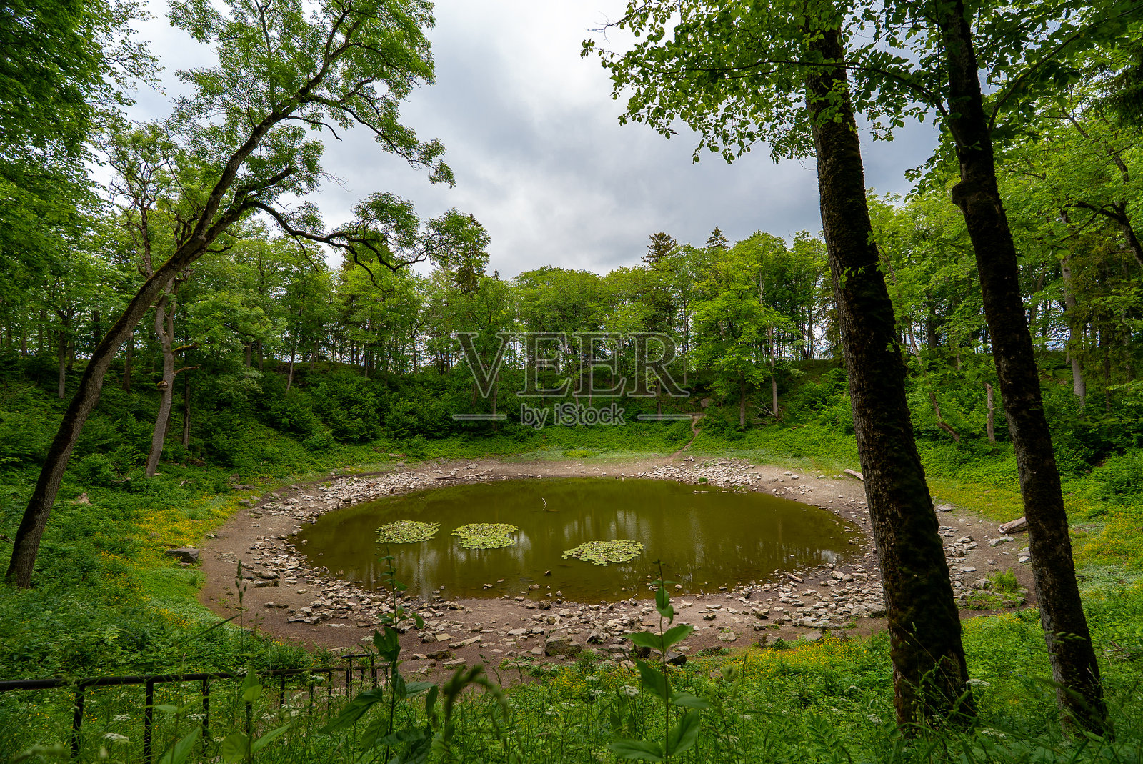 被森林环绕的美丽陨石坑湖卡利。照片摄影图片