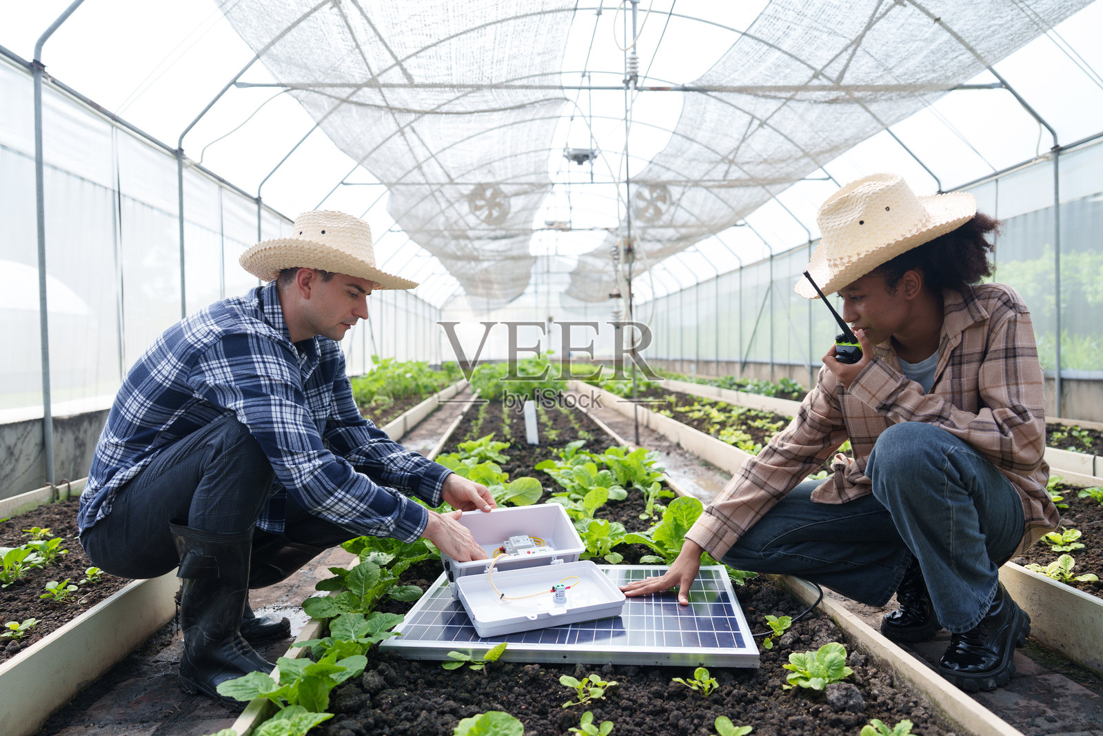 女性和男性农民正在他们的有机农场上安装太阳能可再生能源系统。照片摄影图片
