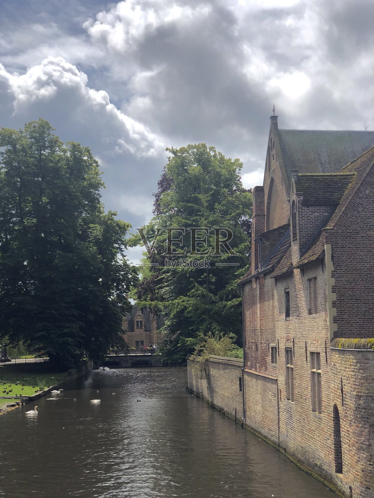 布鲁日的巴克雷河 - 比利时，河中有天鹅游泳，周围环绕着真实的建筑和绿色树木，头顶是明亮的多云天空。照片摄影图片