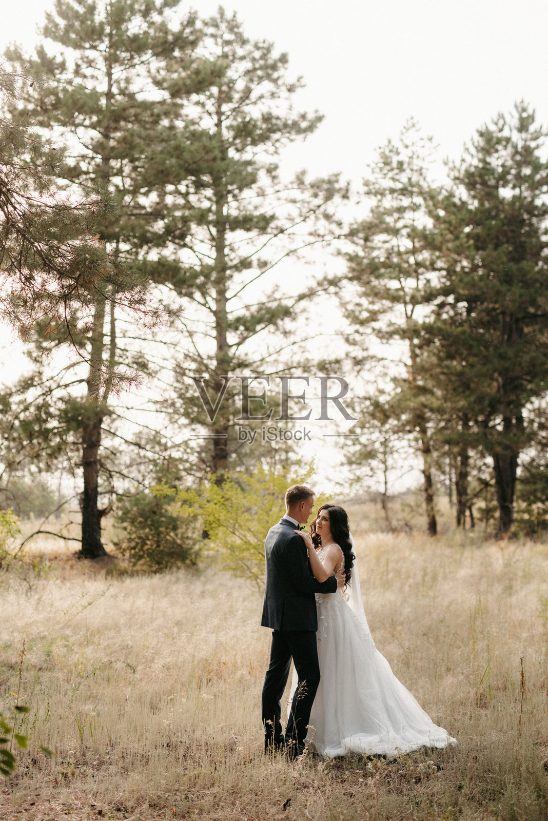 年轻情侣，一男一女正在绿色的山丘上散步。照片摄影图片