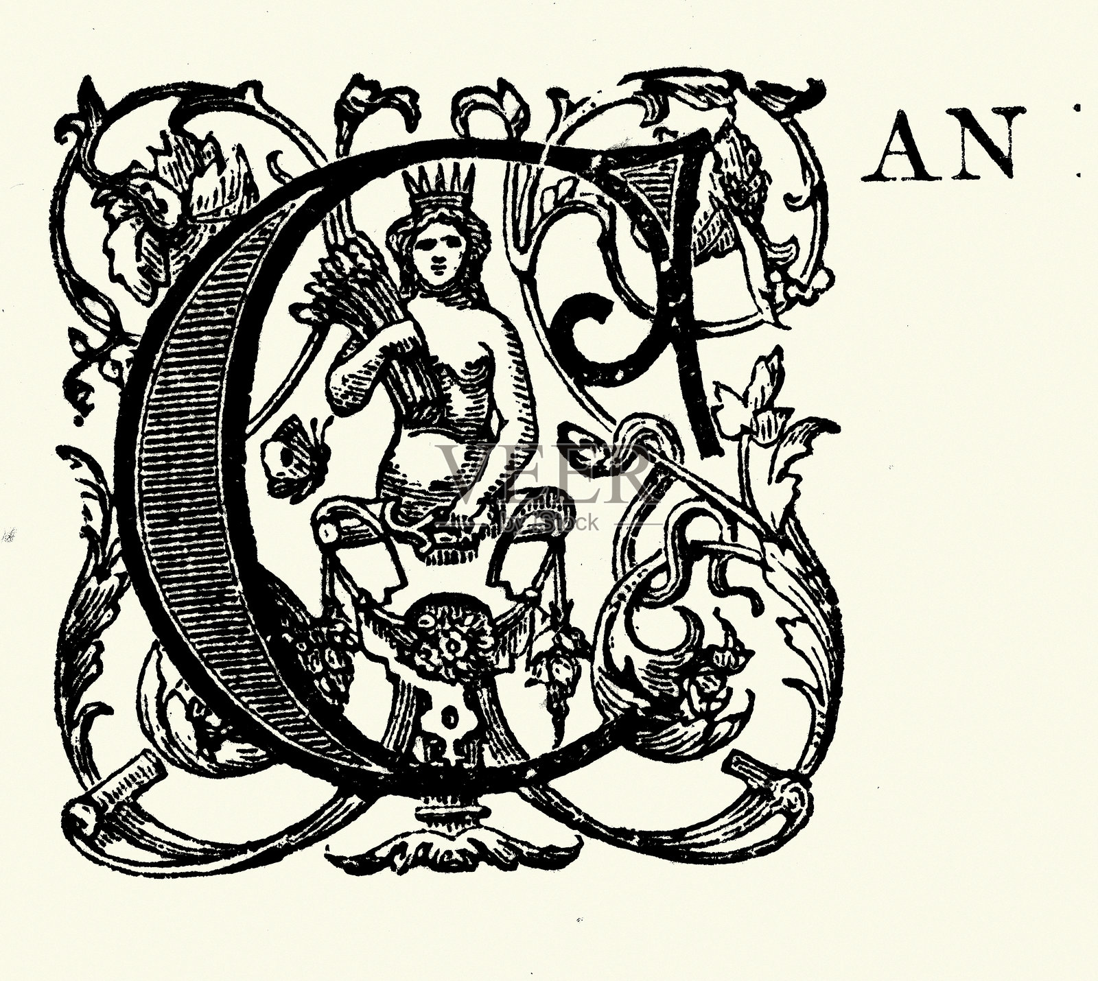 维多利亚设计元素，带冠女神，新古典主义，字母C，19世纪风格插画图片素材