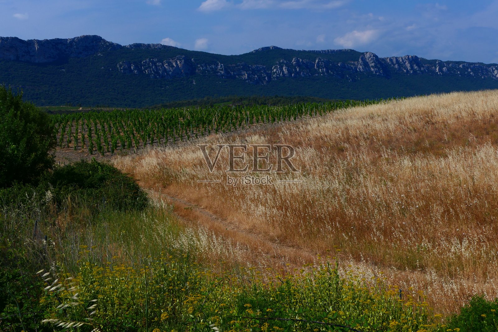 通往圣保罗·德·费努耶的风景：东比利牛斯照片摄影图片