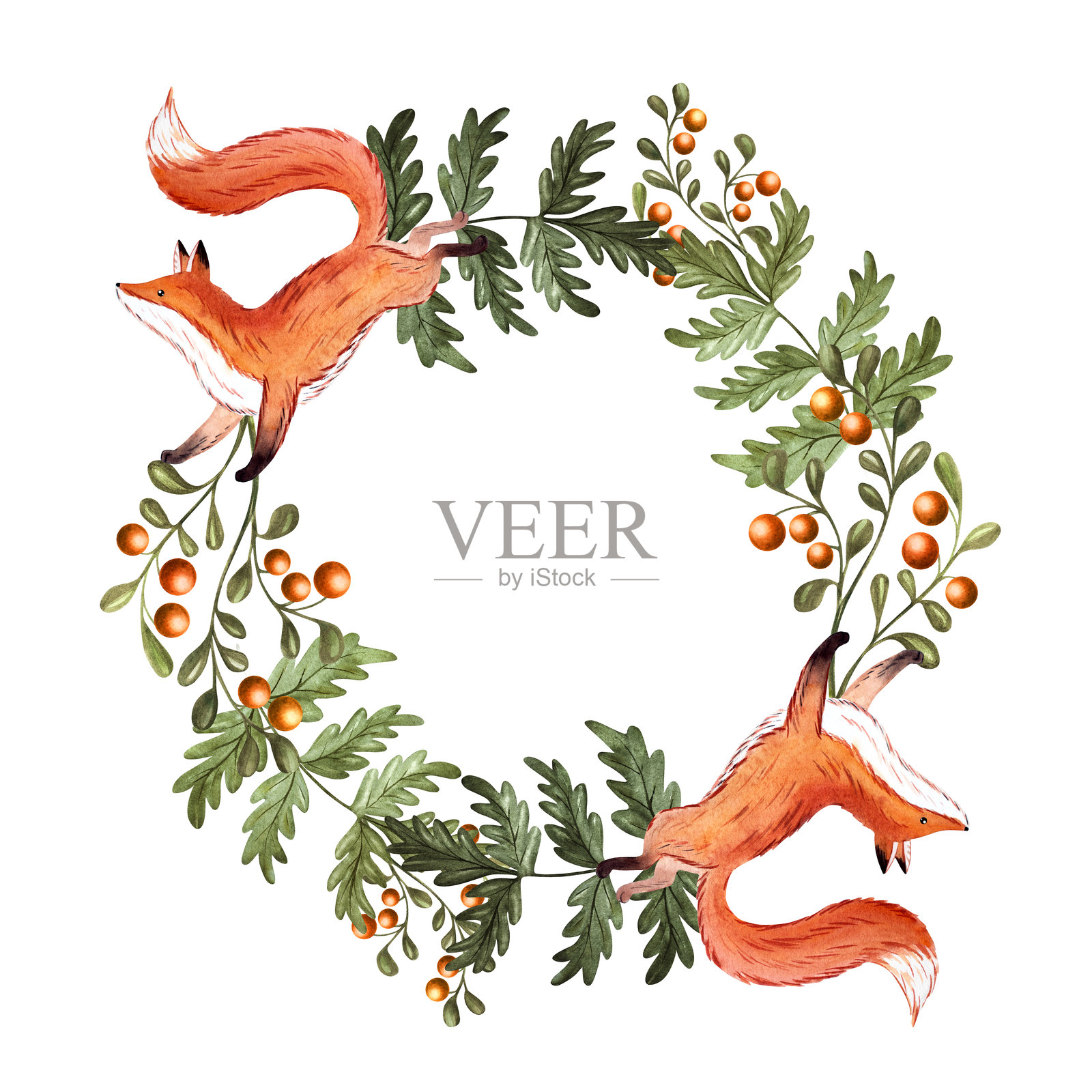 水彩森林花环，包含狐狸、橡树和松树枝、橡果、松 cones、蘑菇、山楂和沙棘，适用于卡片、婴儿设计和包装。插画图片素材