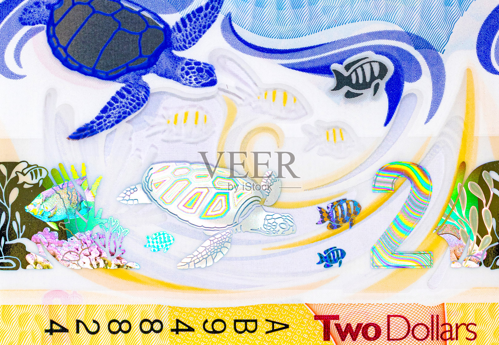 东加勒比海2美元纪念钞，印有板球运动员维夫·理查兹爵士的肖像。东加勒比海货币照片摄影图片