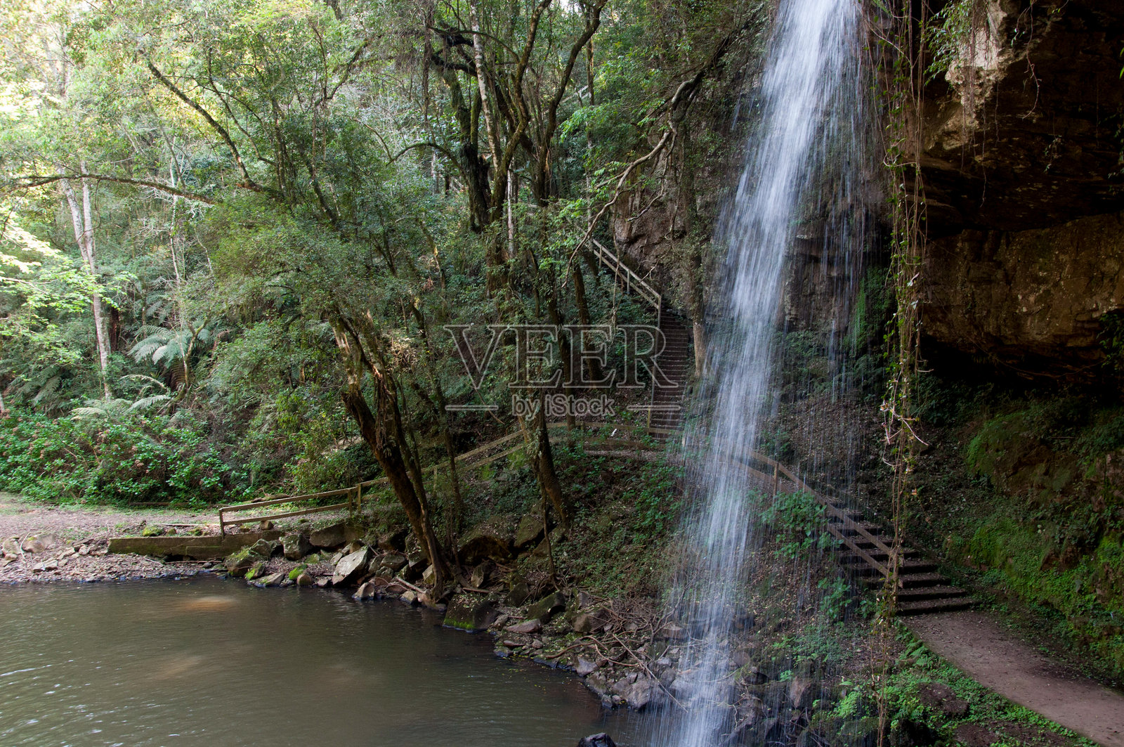 雨林中的瀑布照片摄影图片