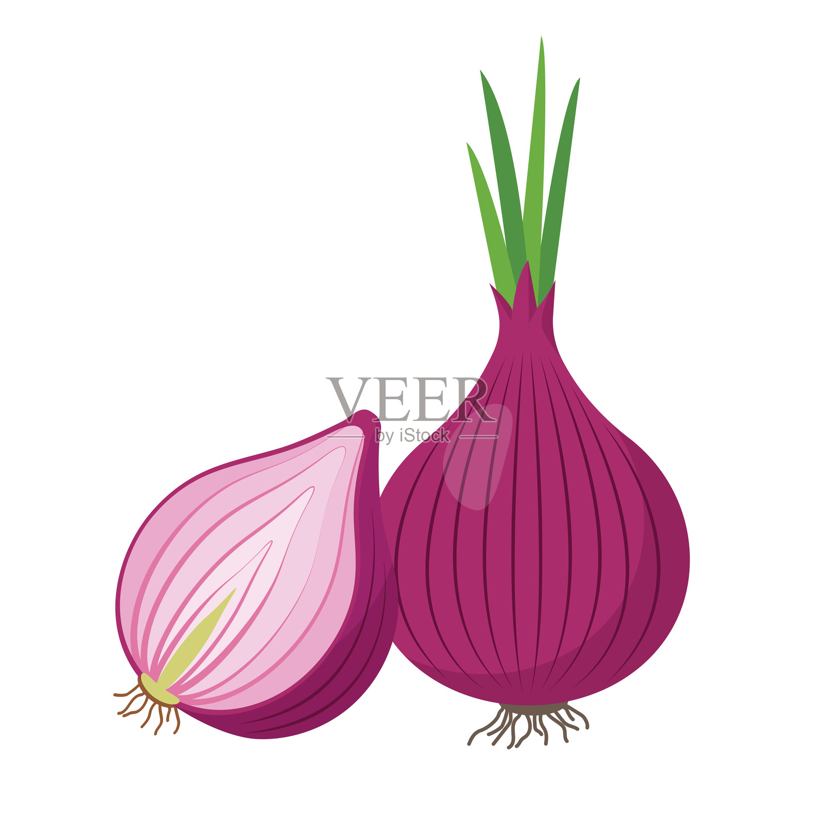 Red Onion bulb in skin and half onion. Head of onion in peel with green sprout and roots. Cook ingredients, spices. Organic food icon.插画图片素材