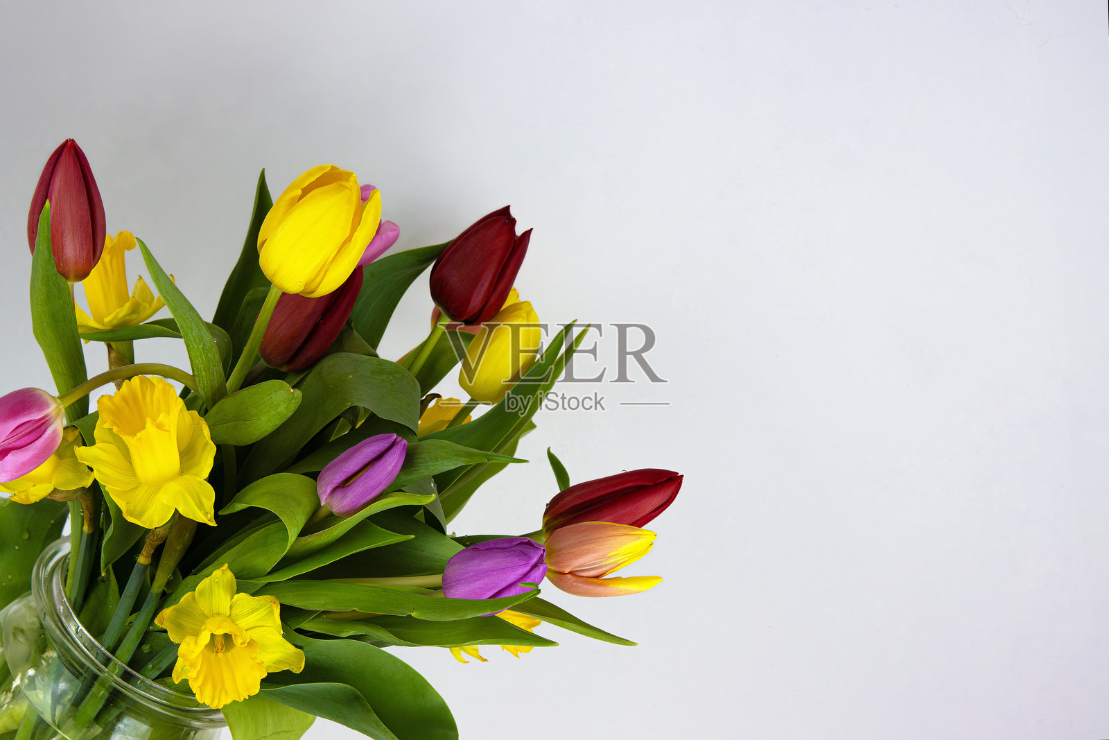 五彩缤纷的春季郁金香和水仙花在透明玻璃花瓶中排列，背景为中性色调。照片摄影图片