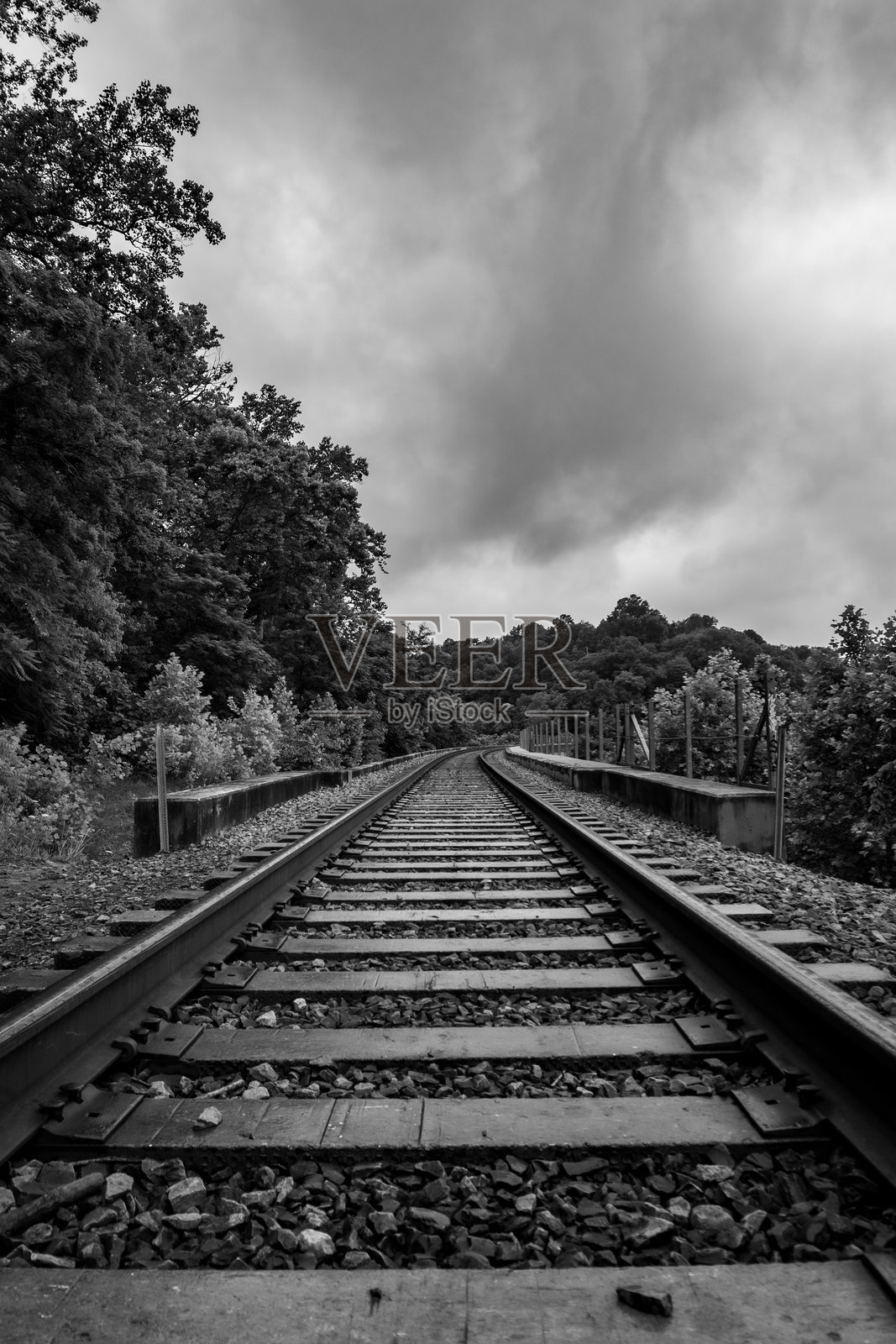 森林中的铁路轨道 - 黑白色照片摄影图片