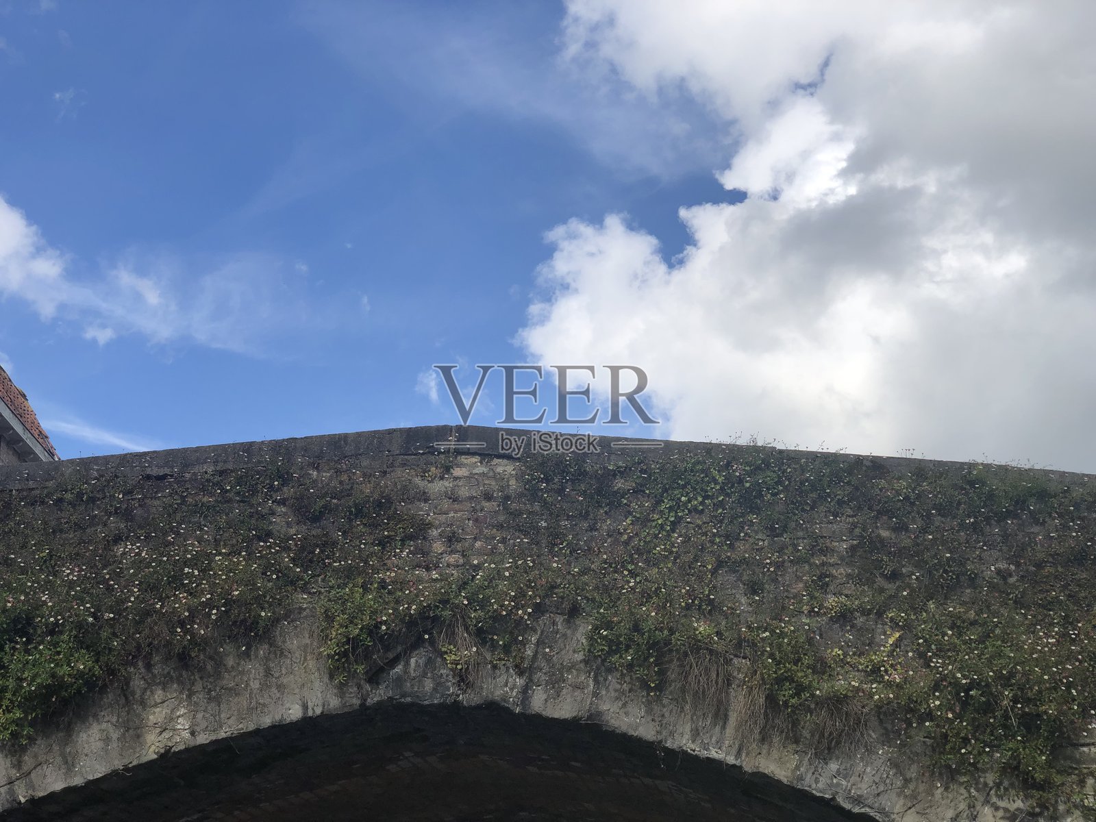 历史悠久的石桥被花卉植物覆盖，蓝天晴朗，白云飘荡。照片摄影图片