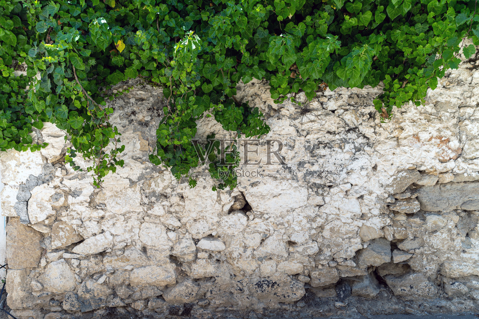 克里特岛，希腊，白天的石墙上覆盖着绿色藤蔓照片摄影图片
