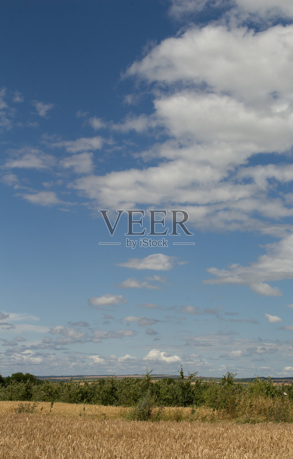 一片蓝天和云朵的田野照片摄影图片