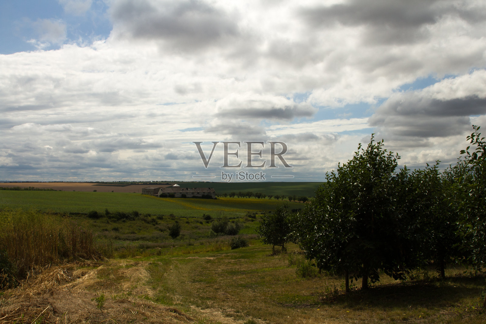 一片有树木和多云天空的田野照片摄影图片