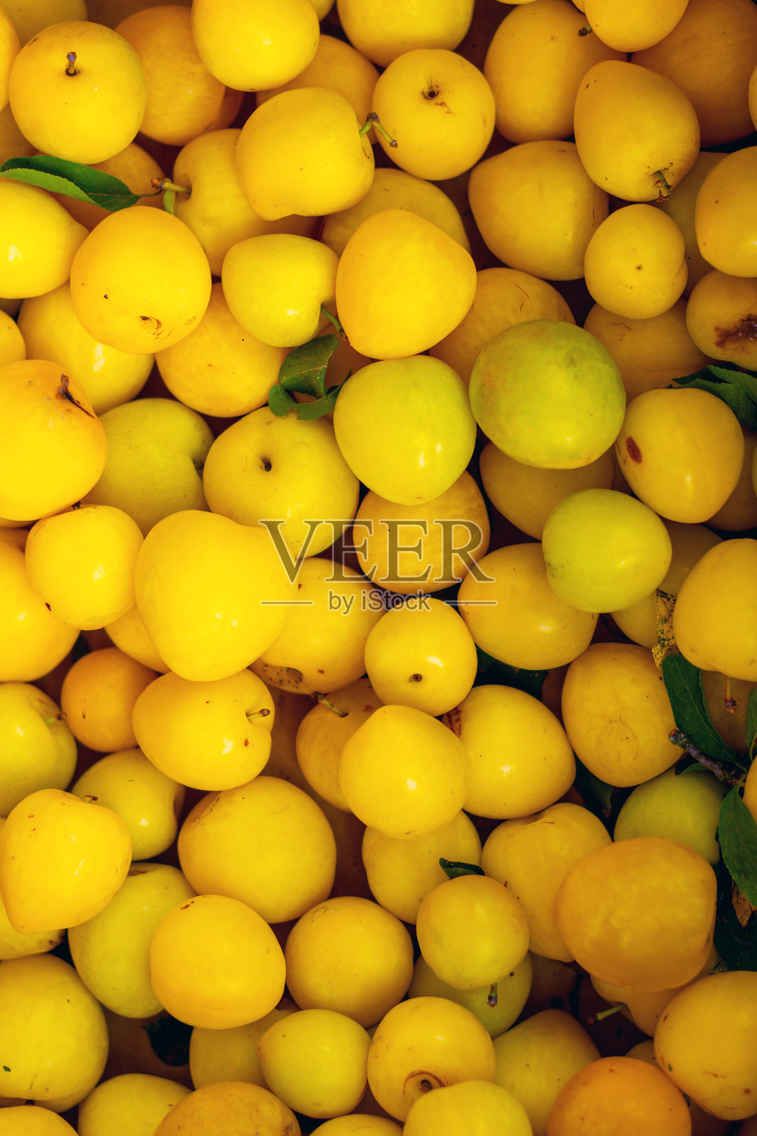 丰盛的新鲜黄绿李梅背景照片摄影图片