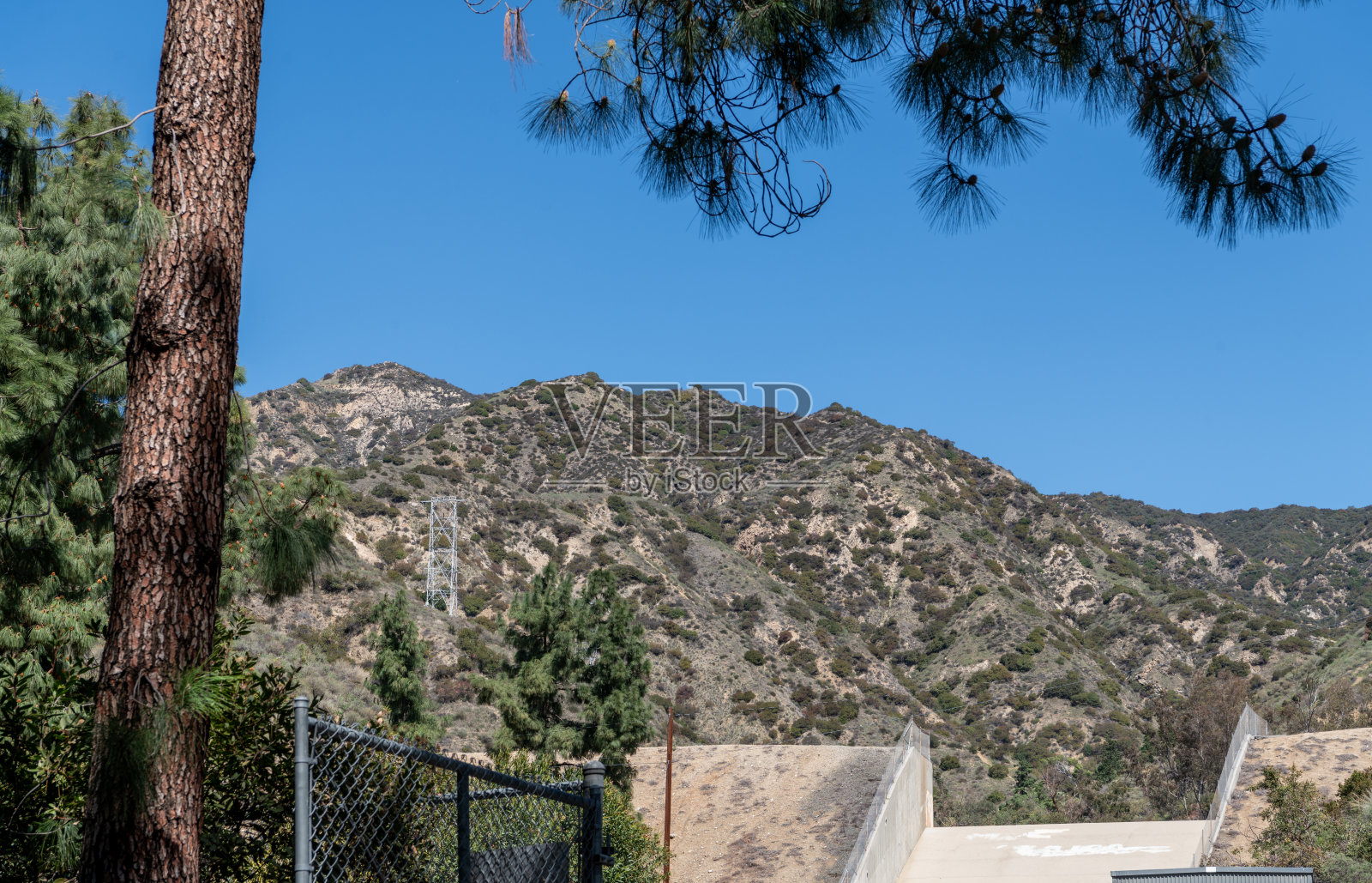 加州山丘背景中的公园树木照片摄影图片