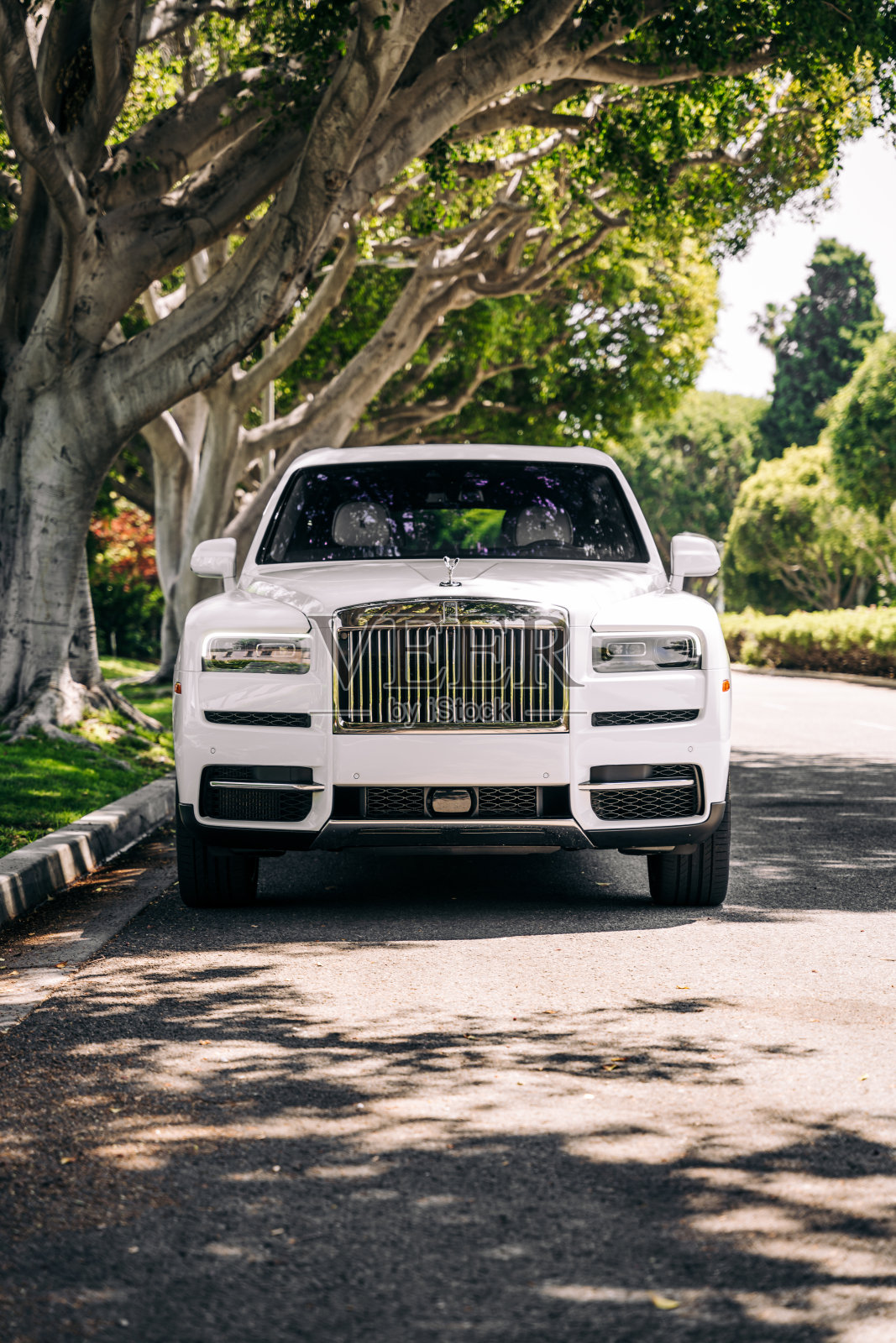 库利南照片摄影图片