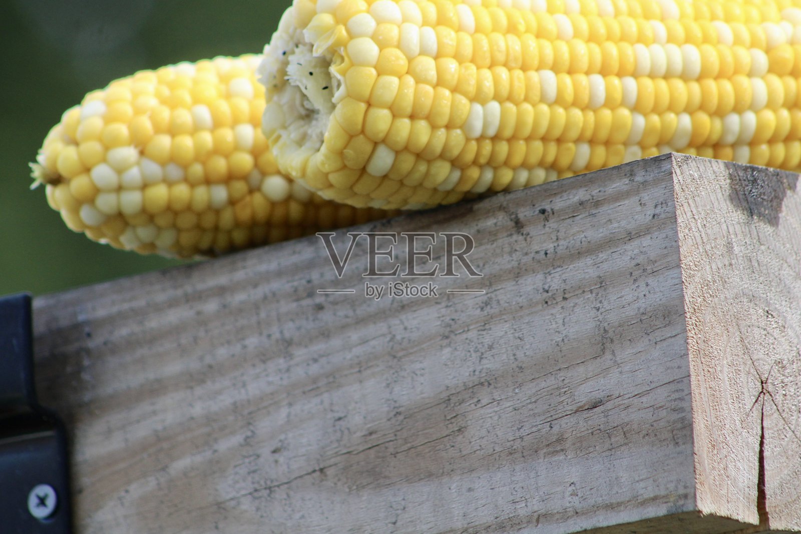 玉米棒照片摄影图片