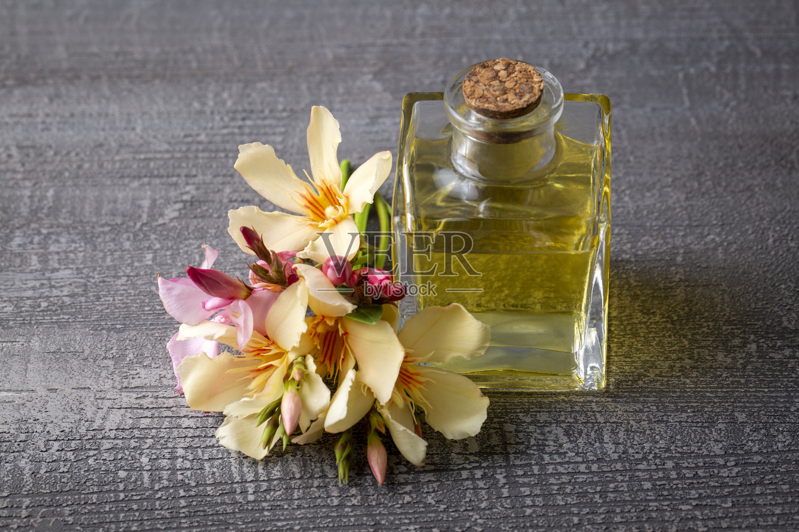 夹竹桃植物的精油照片摄影图片