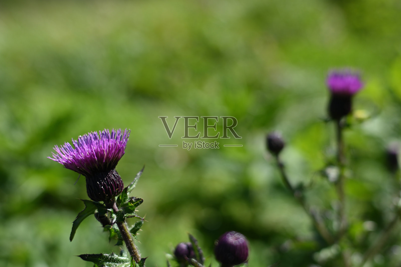 攀登日本新潟的天神岳照片摄影图片