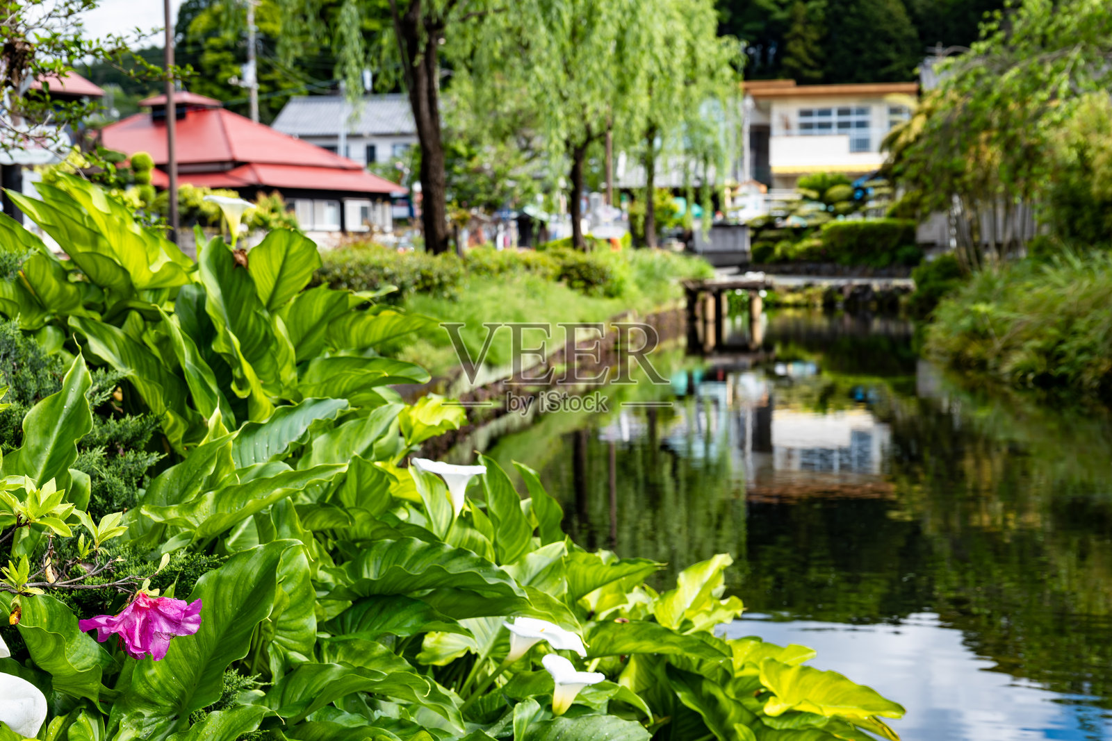 泉之里春水公园照片摄影图片