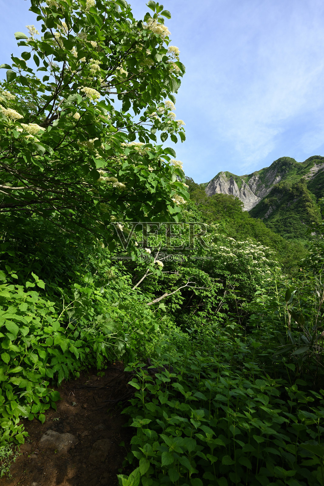 攀登日本新潟的天神岳照片摄影图片
