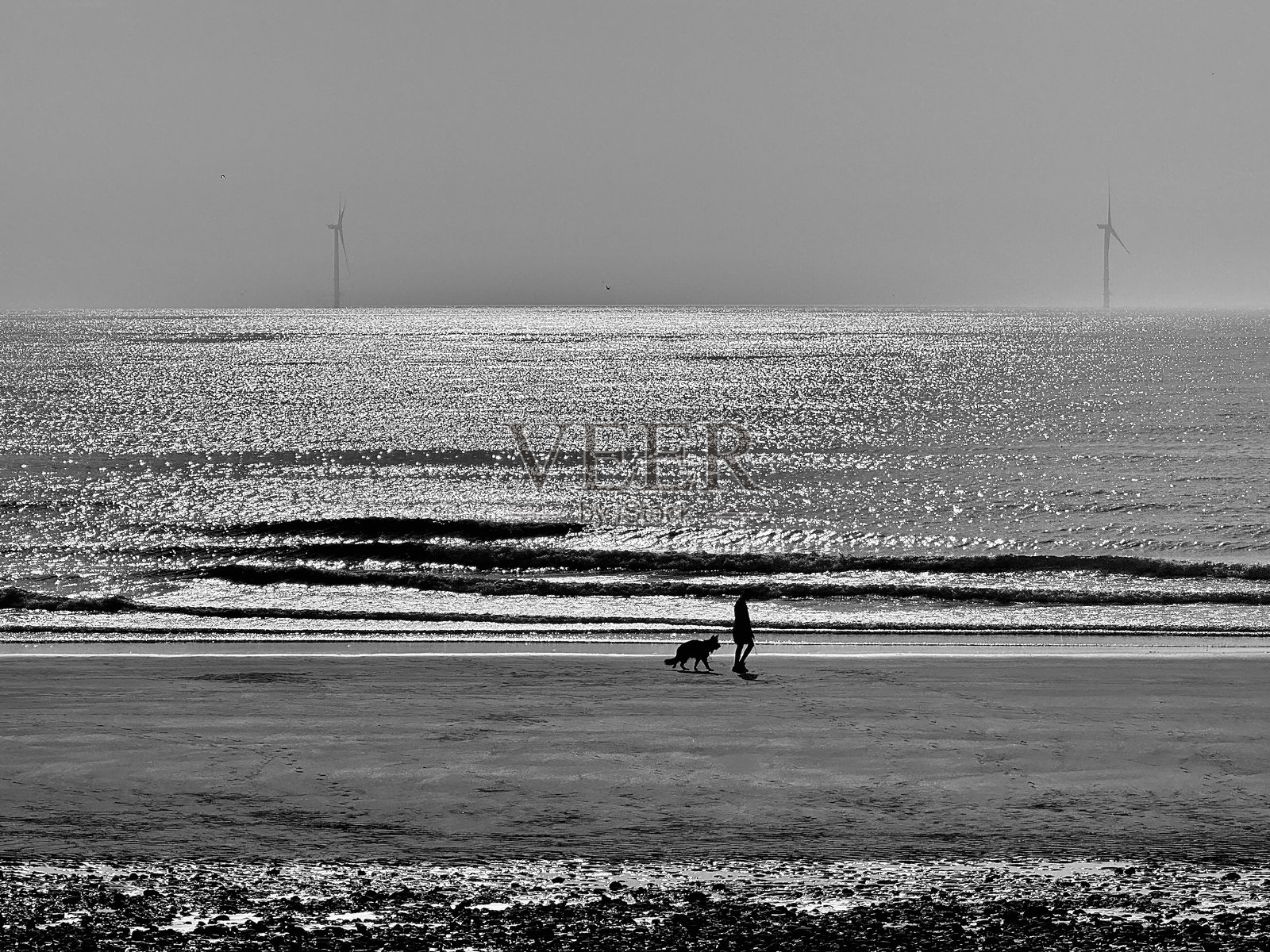 在诺森伯兰的布莱斯海滩上遛狗的人照片摄影图片