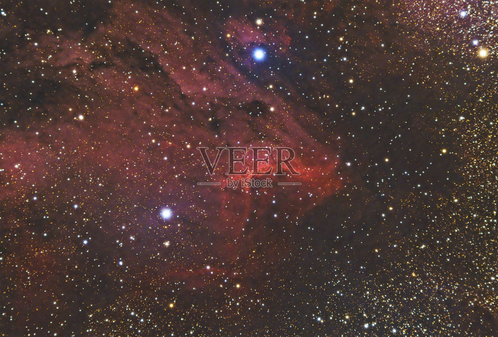 天鹅座的鹈鹕星云（IC 5070）照片摄影图片