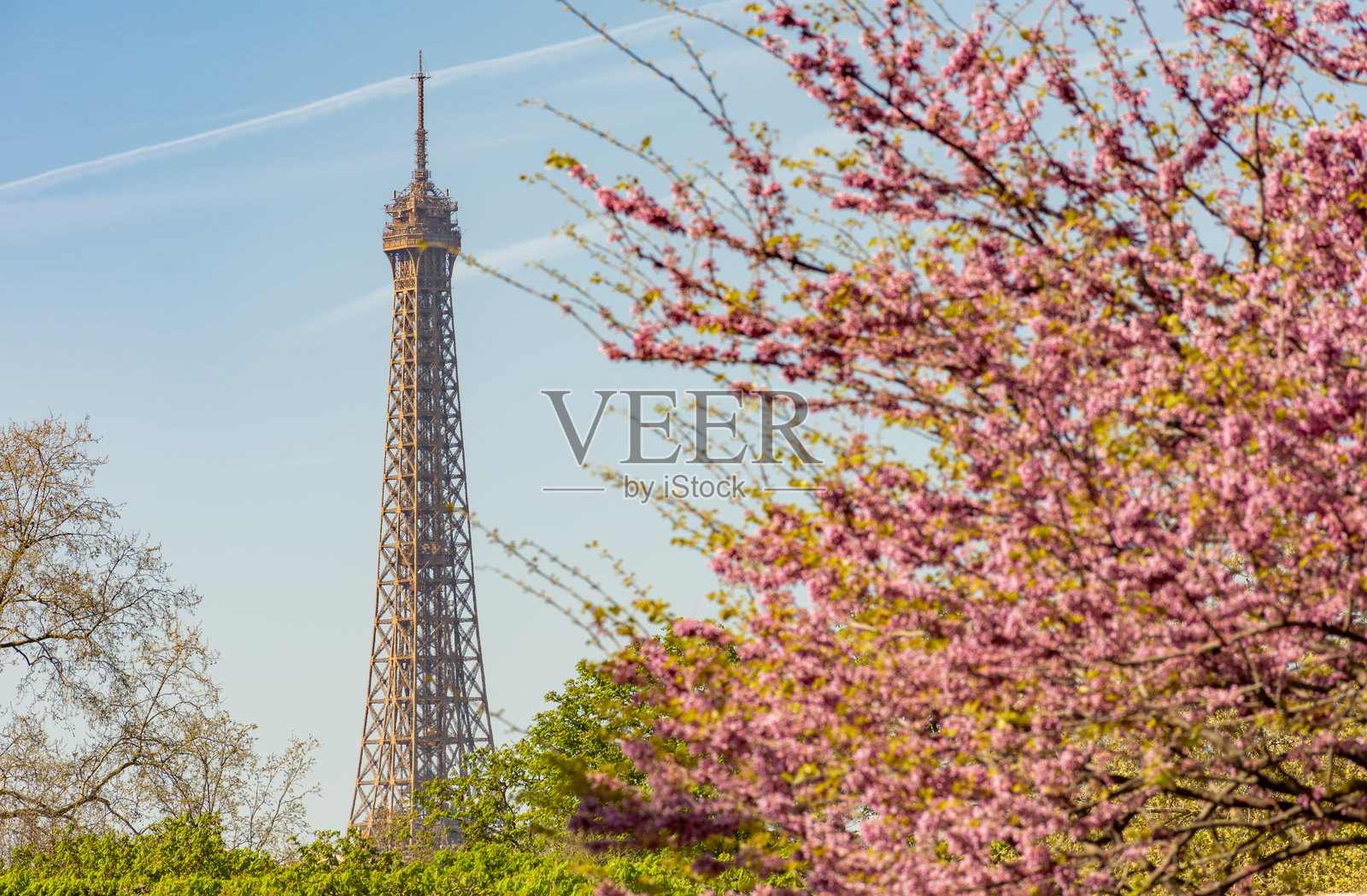 春天的埃菲尔铁塔，法国巴黎照片摄影图片