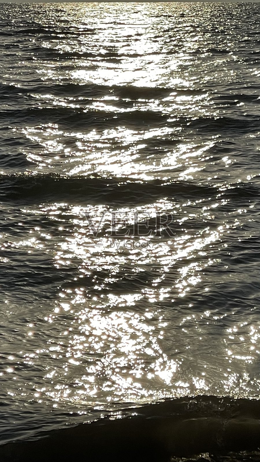 闪耀的海洋照片摄影图片