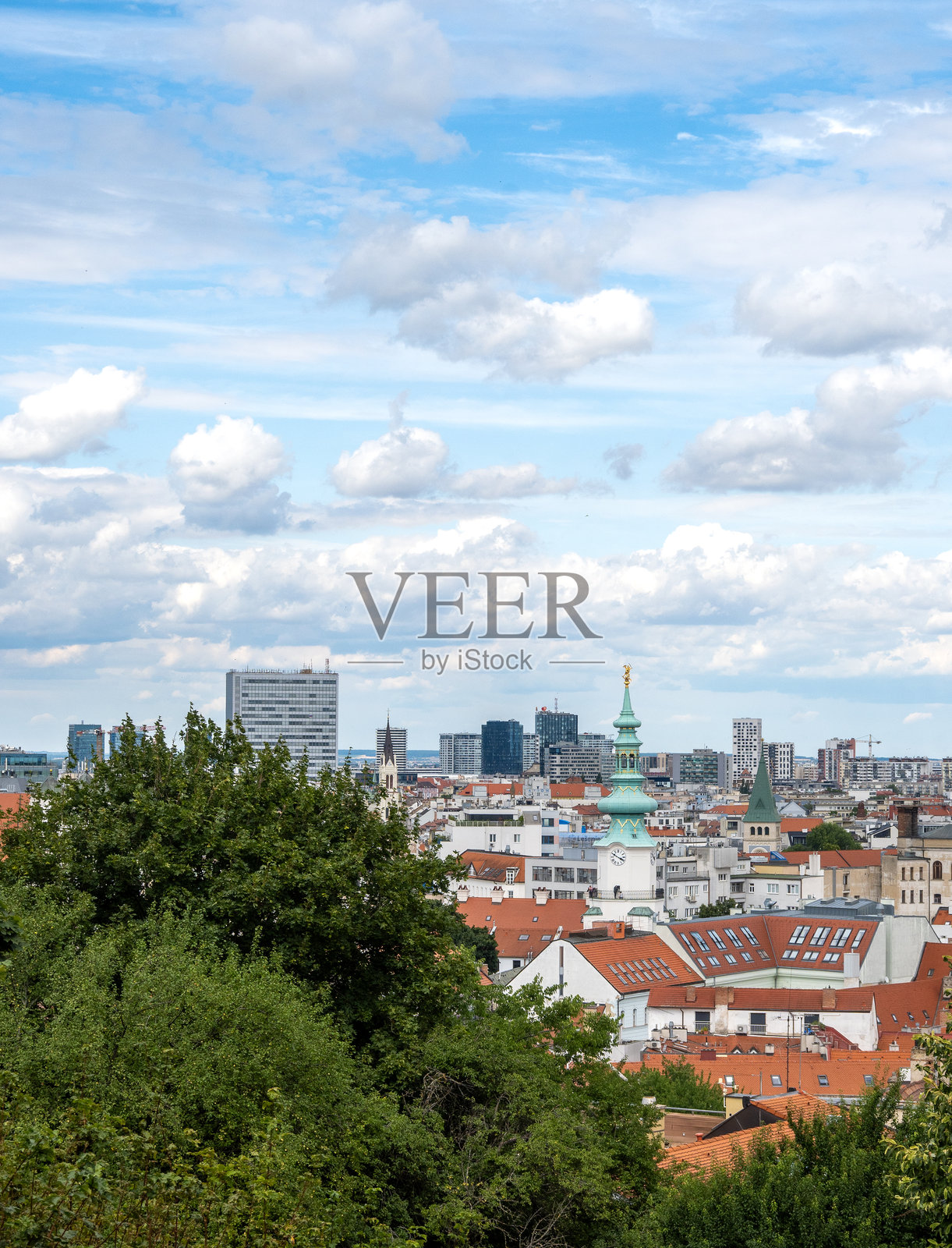 从高处俯瞰布拉迪斯拉发市的垂直照片。照片摄影图片