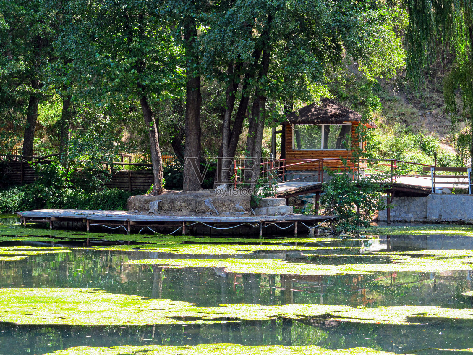 公园里的湖泊和树木照片摄影图片