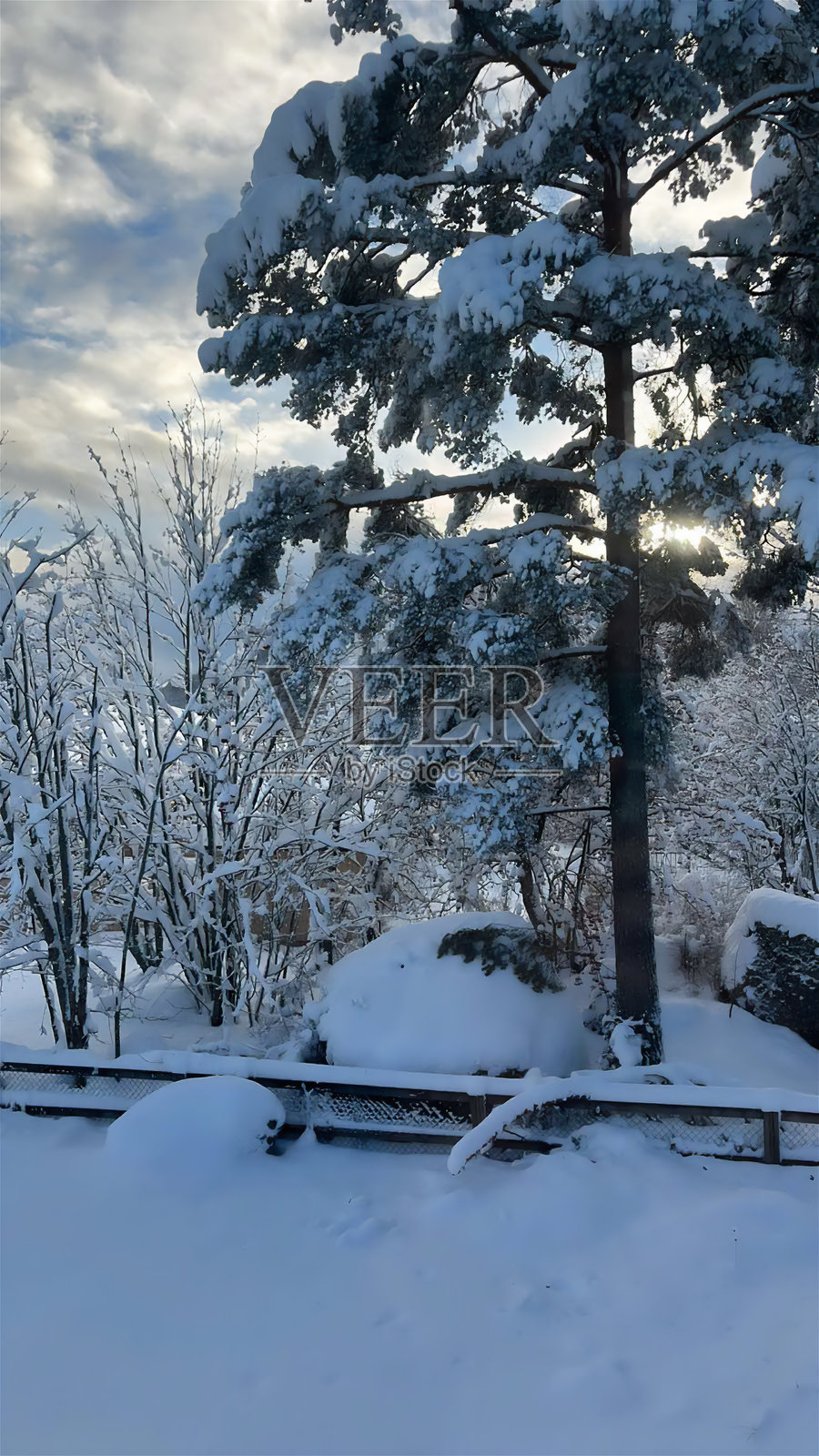 自然旅行旅游照片摄影图片