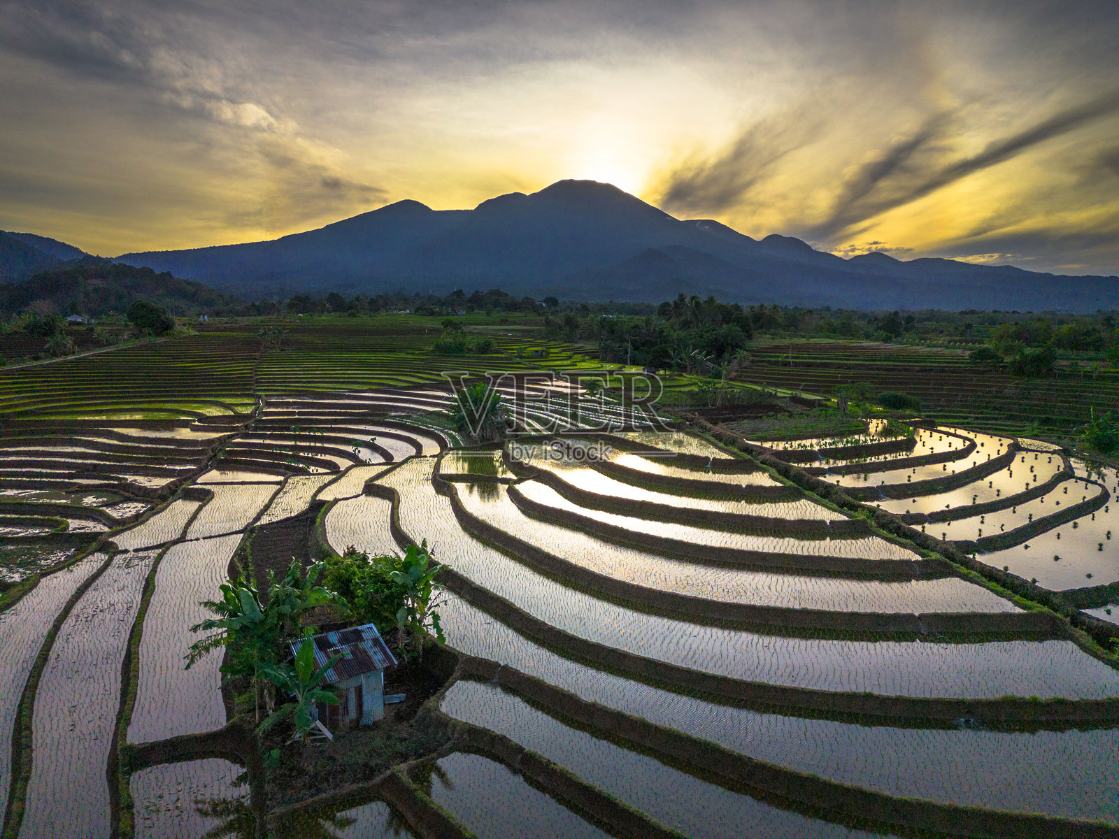 美丽的早晨景色，印度尼西亚全景，稻田与美丽的色彩和自然光的天空照片摄影图片