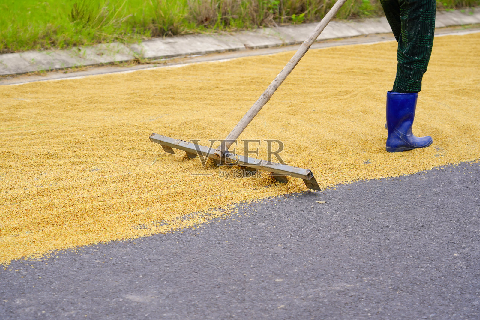 在阳光明媚的日子里，工人们戴着越南帽在街上晾晒大米。越南芽庄的农村工人在路上晾晒大米。照片摄影图片