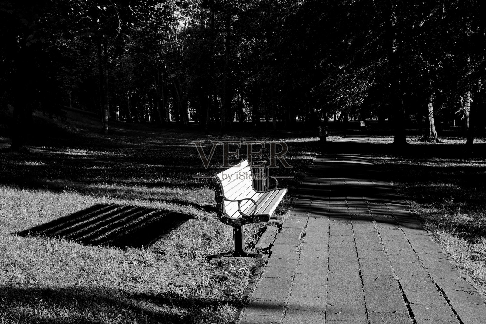 公园里孤独的长椅，长长的阴影，黑白色调。适合表现孤独、宁静或反思等概念主题。照片摄影图片