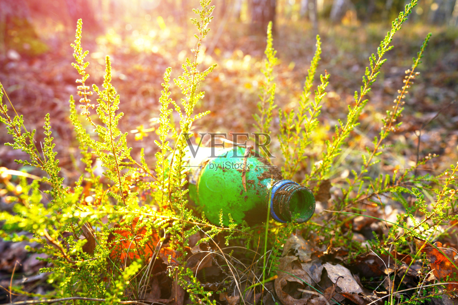 森林中被丢弃的塑料瓶。自然中的垃圾，可重复使用的产品。丢弃在森林中的废物。照片摄影图片
