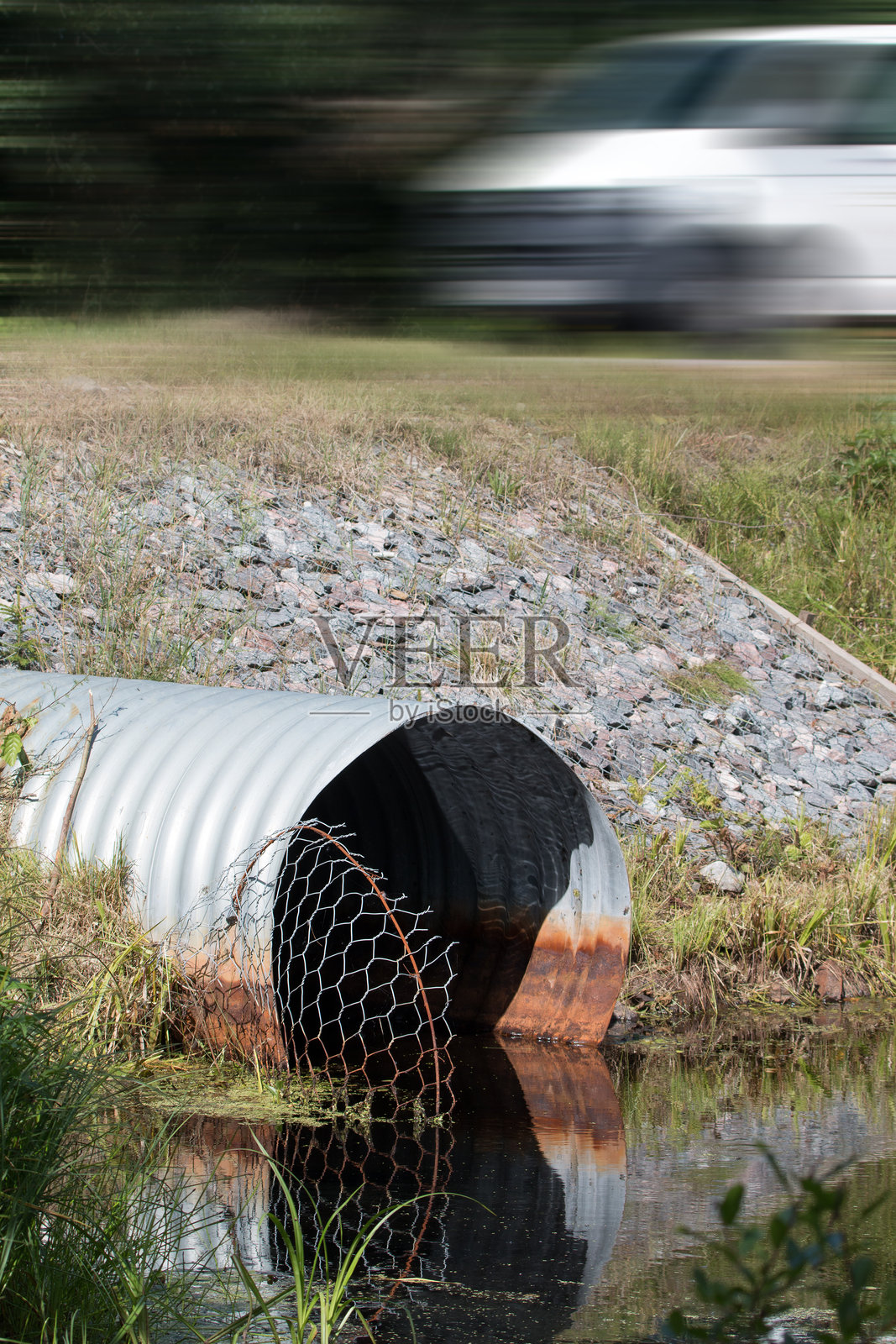 恢复海狸穿透的管道和网格照片摄影图片