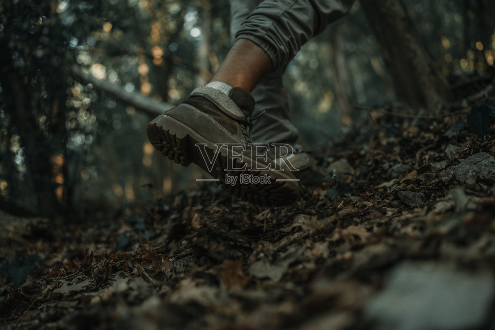 冒险者在荒野的森林小径上徒步旅行的特写镜头照片摄影图片