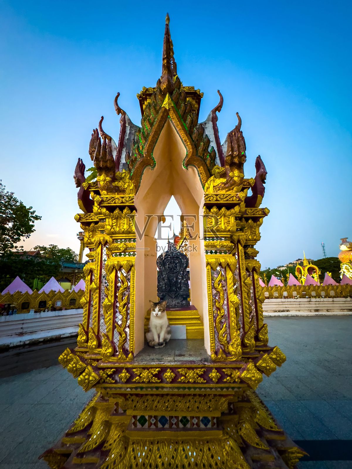 神圣的神龛，猫守护者与华丽的金色细节照片摄影图片
