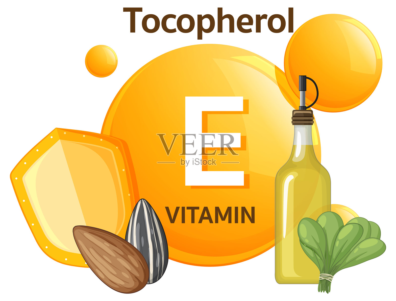 维生素E来源和生育酚营养插图插画图片素材