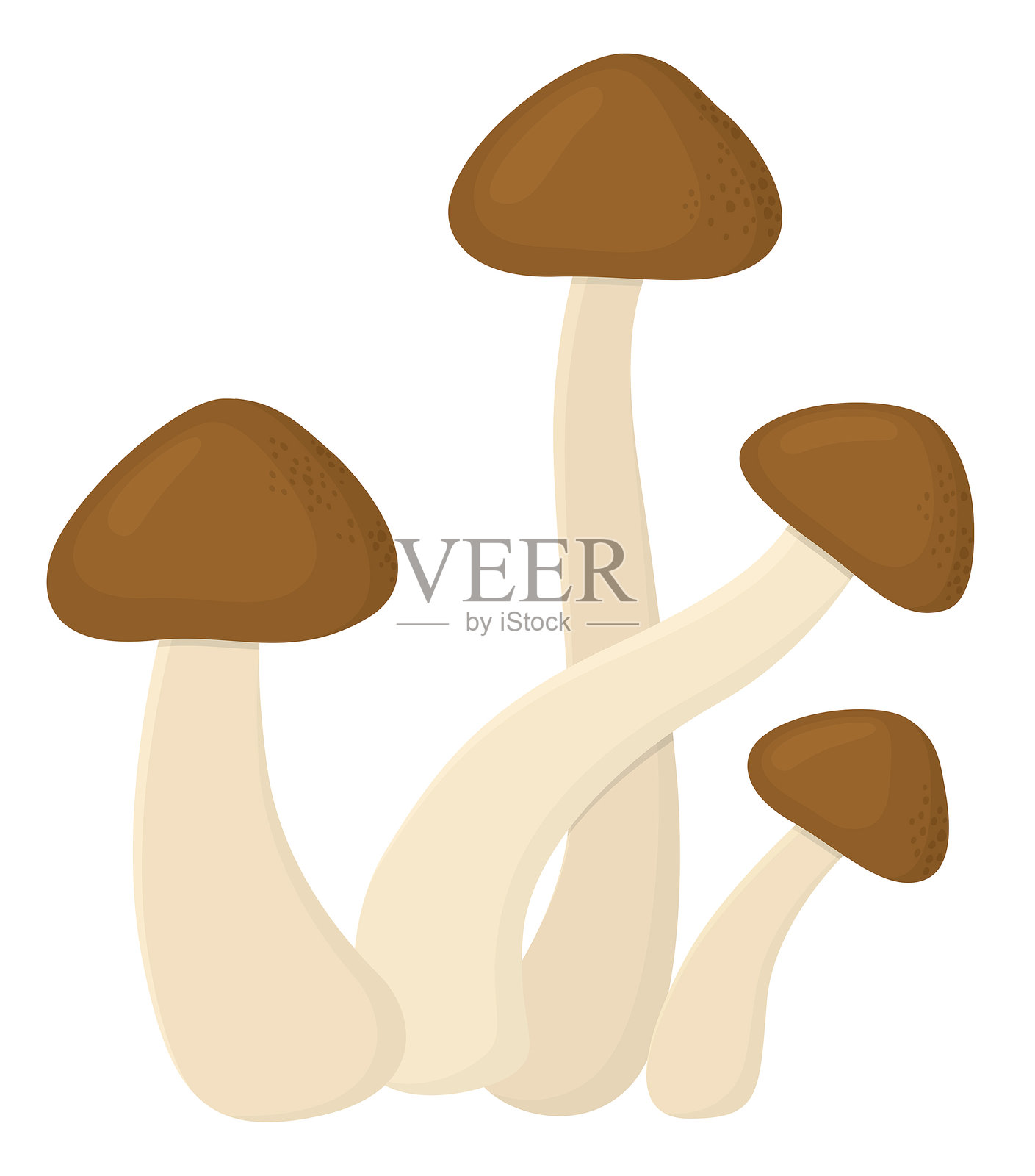 一群蜜环菌的插图插画图片素材